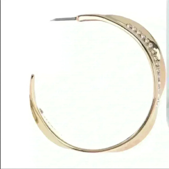 Carolee Iris Gold-Tone Plates Sterling Silver Pave Stone Hoop Earrings NWT - Picture 3 of 8